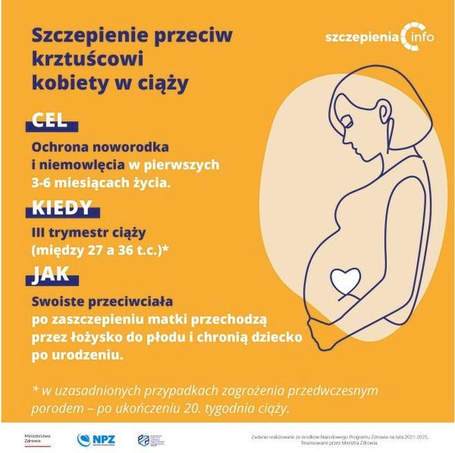 Krztusiec w ciąży – jak chronić dziecko? Termin szczepienia i zalecenia