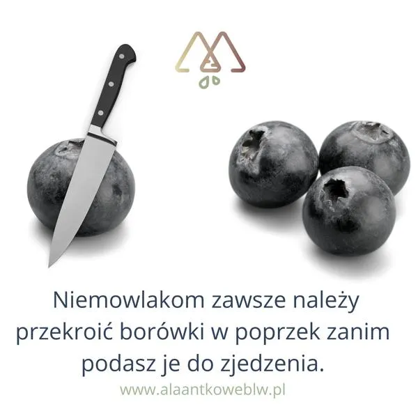 Bezpieczne sposoby podawania borówek