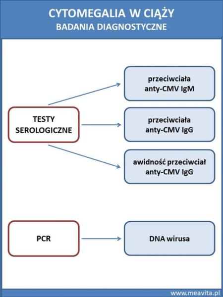 Cytomegalia w ciąży