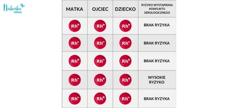 Grupa krwi w ciąży