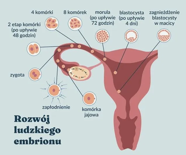 Objawy ciąży