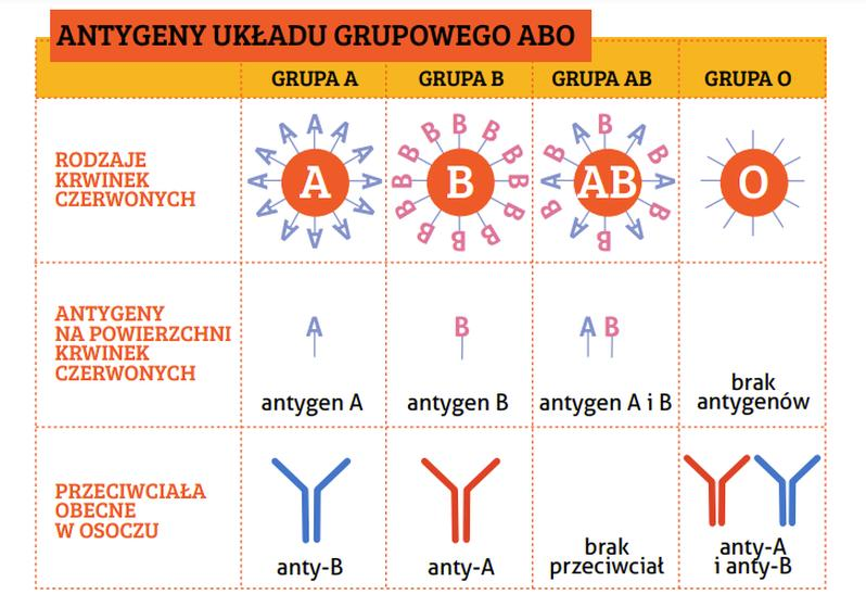 Transfuzja krwi
