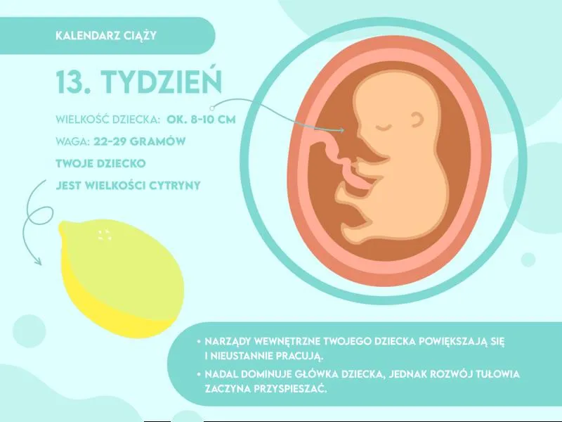 Tydzień ciąży