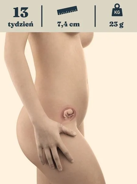 Ważne badania prenatalne