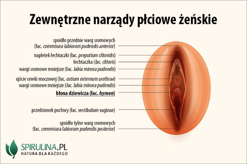 Wydzielina z pochwy w ciąży